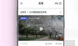 a片视频网,暗流涌动的网络世界