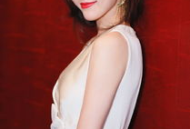 徐湛国画视频全集96集,96集视频全集深度解析